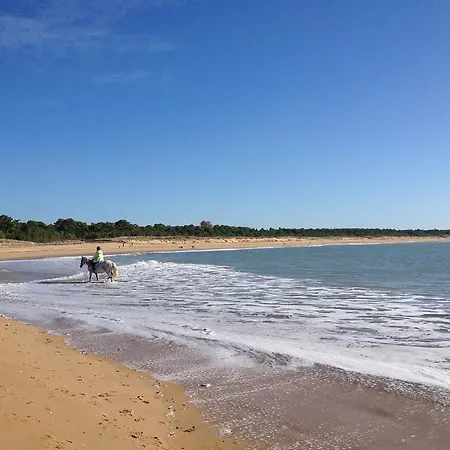 Apartman 43 M2 Front De 3 Cles La Tranche-sur-Mer